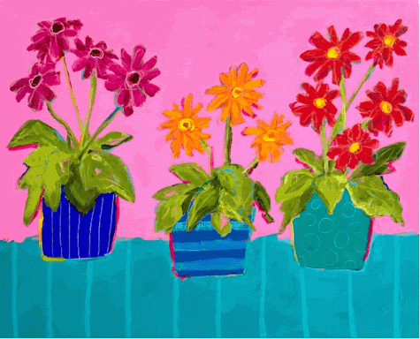 Gerberas